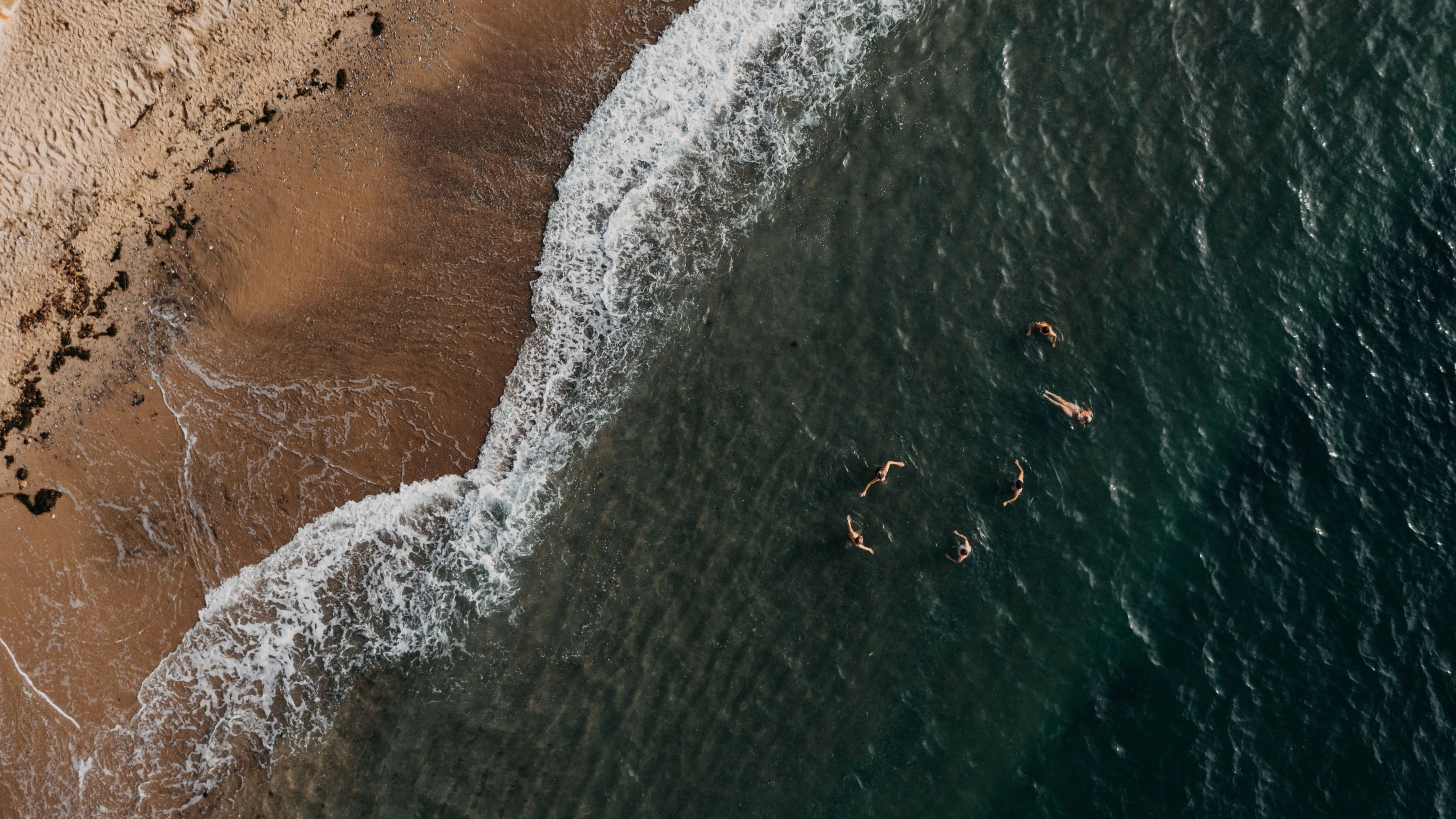 Aerial view of swimmers in the sea beside a sandy beach with waves breaking along the shoreline
