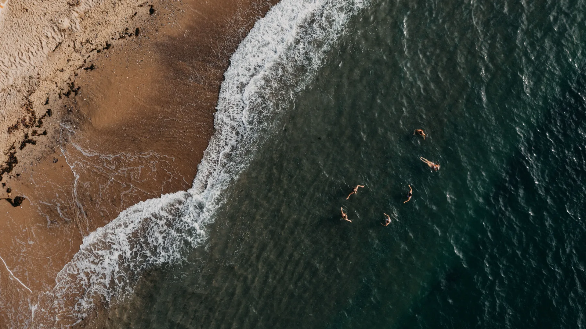 Aerial view of swimmers in the sea beside a sandy beach with waves breaking along the shoreline