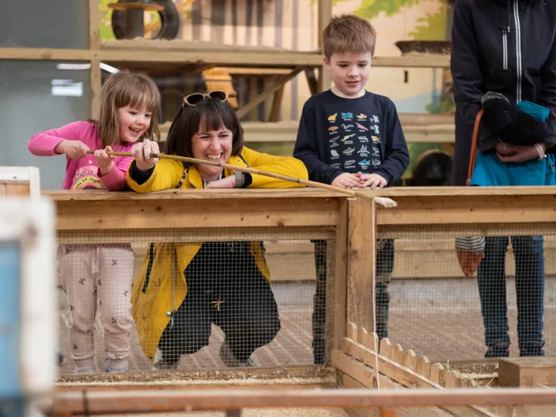 Children and an adult try animal fishing over a guinea pig pen at Tapnell Farm Park