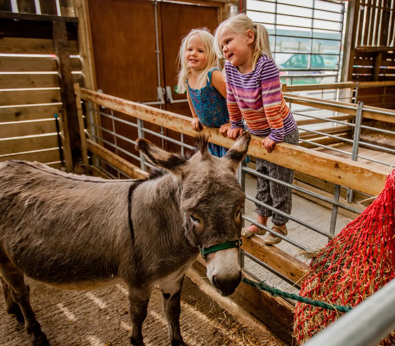 Two young girls lean on a wooden rail to watch a donkey in a barn pen beside a red hay net.