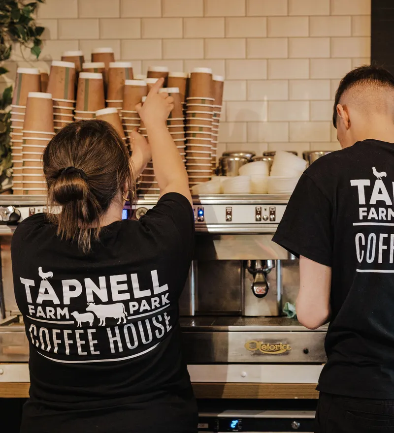 Tapnell Farm Park Coffee House staff preparing drinks behind the café counter