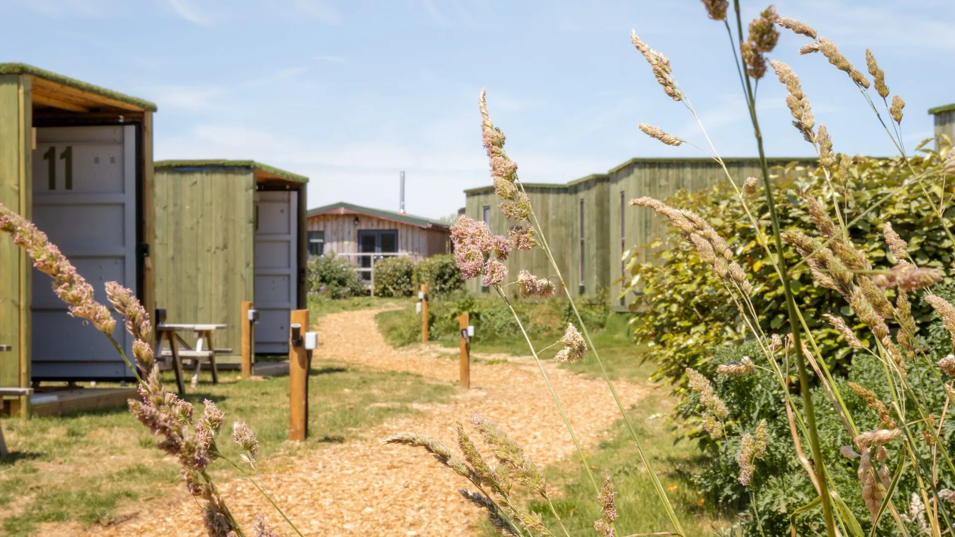 Woodland-style camping chalets along a gravel path with wild grasses in the foreground