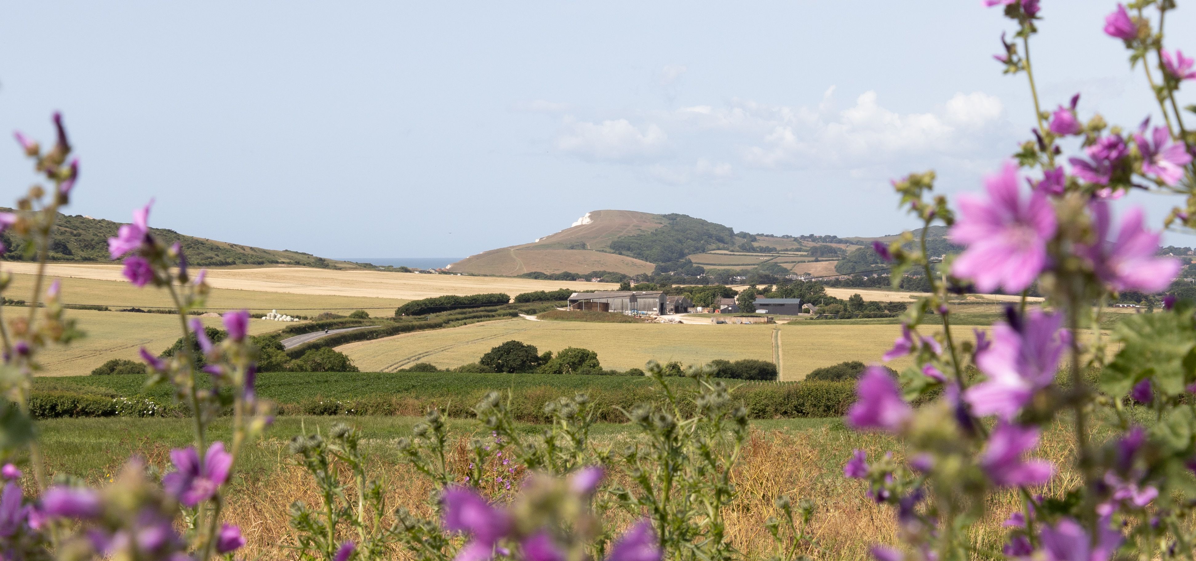 Countryside landscape with pink wildflowers framing fields, farm buildings and distant hills under a pale blue sky