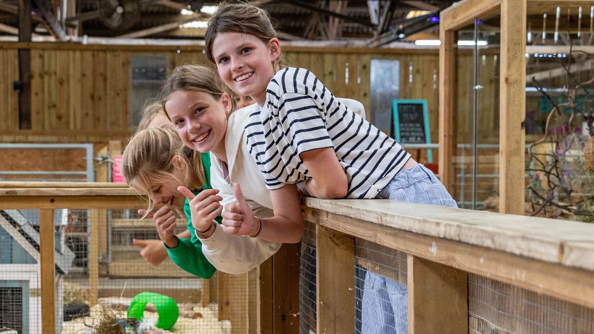 Children leaning over a wooden railing and smiling at the camera inside a farm animal barn