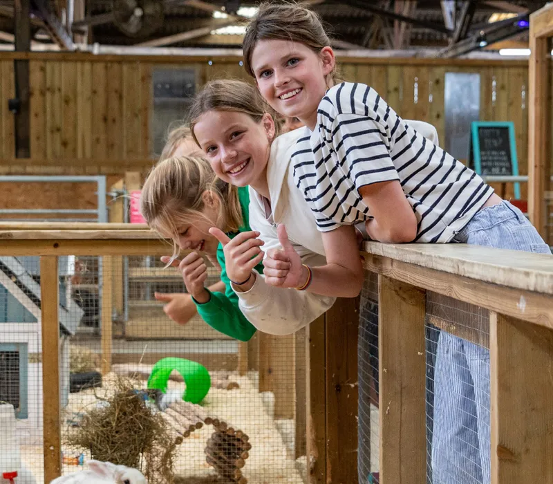 Children leaning over a wooden railing and smiling at the camera inside a farm animal barn
