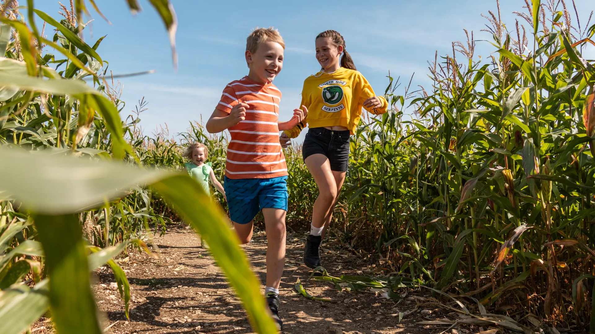 Children running along a path through a maize maze on a sunny day