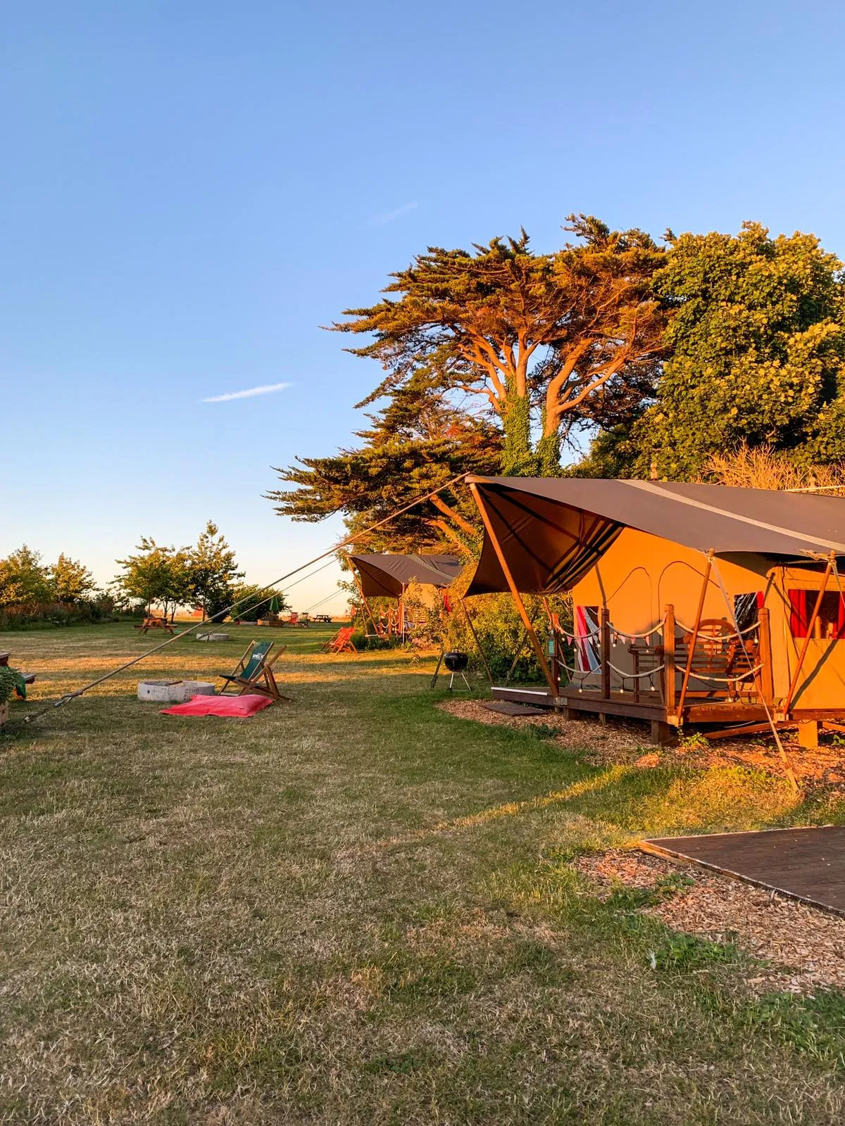 Safari tents at Tapnell Farm in early morning light with a large tree and grassy field