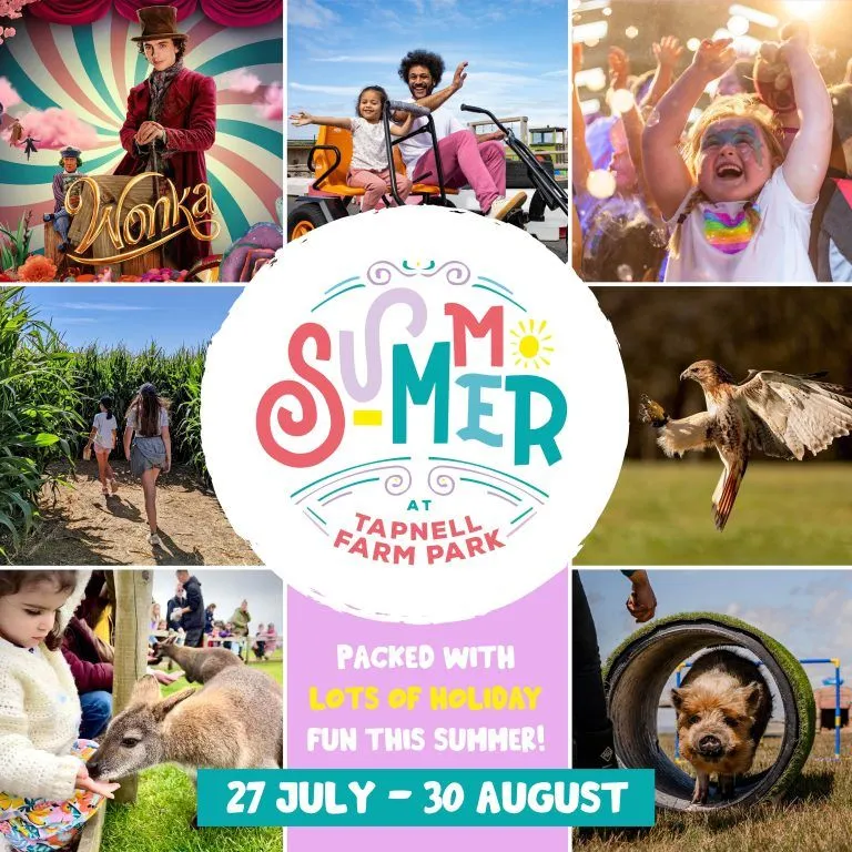 Collage poster for Summer at Tapnell Farm Park with family activities, animals and event dates 27 July to 30 August
