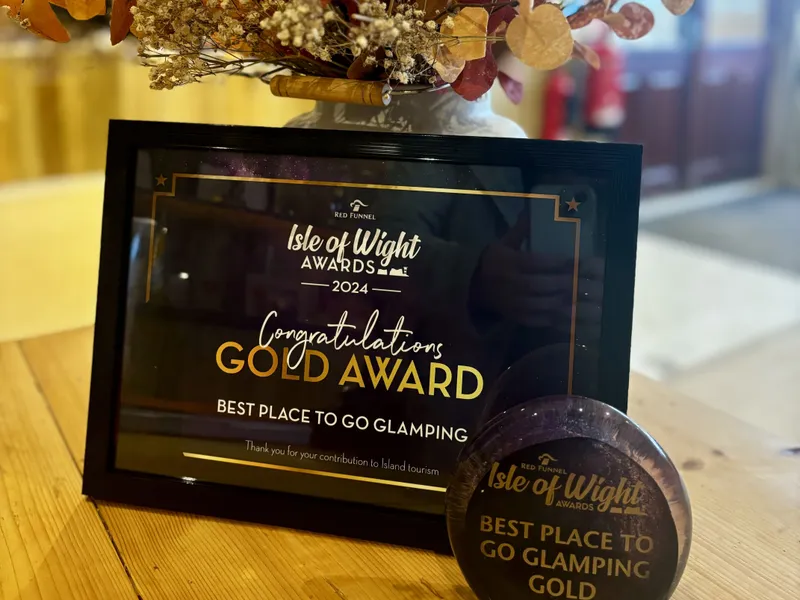 Isle of Wight Awards 2024 gold award for best place to go glamping, displayed with a dried flower arrangement
