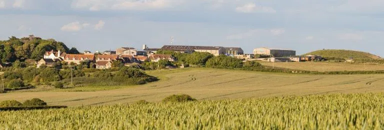 Wheat field with farm buildings and cottages on rolling countryside under a cloudy sky
