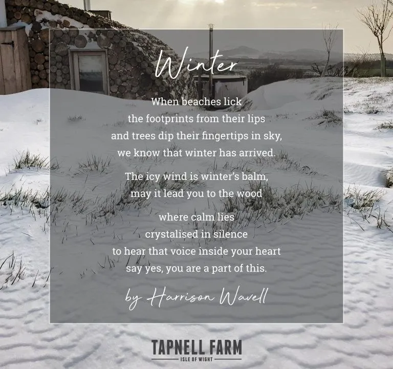 Snow-covered field outside a stone and log-built cabin at Tapnell Farm, Isle of Wight, with a winter poem overlaid