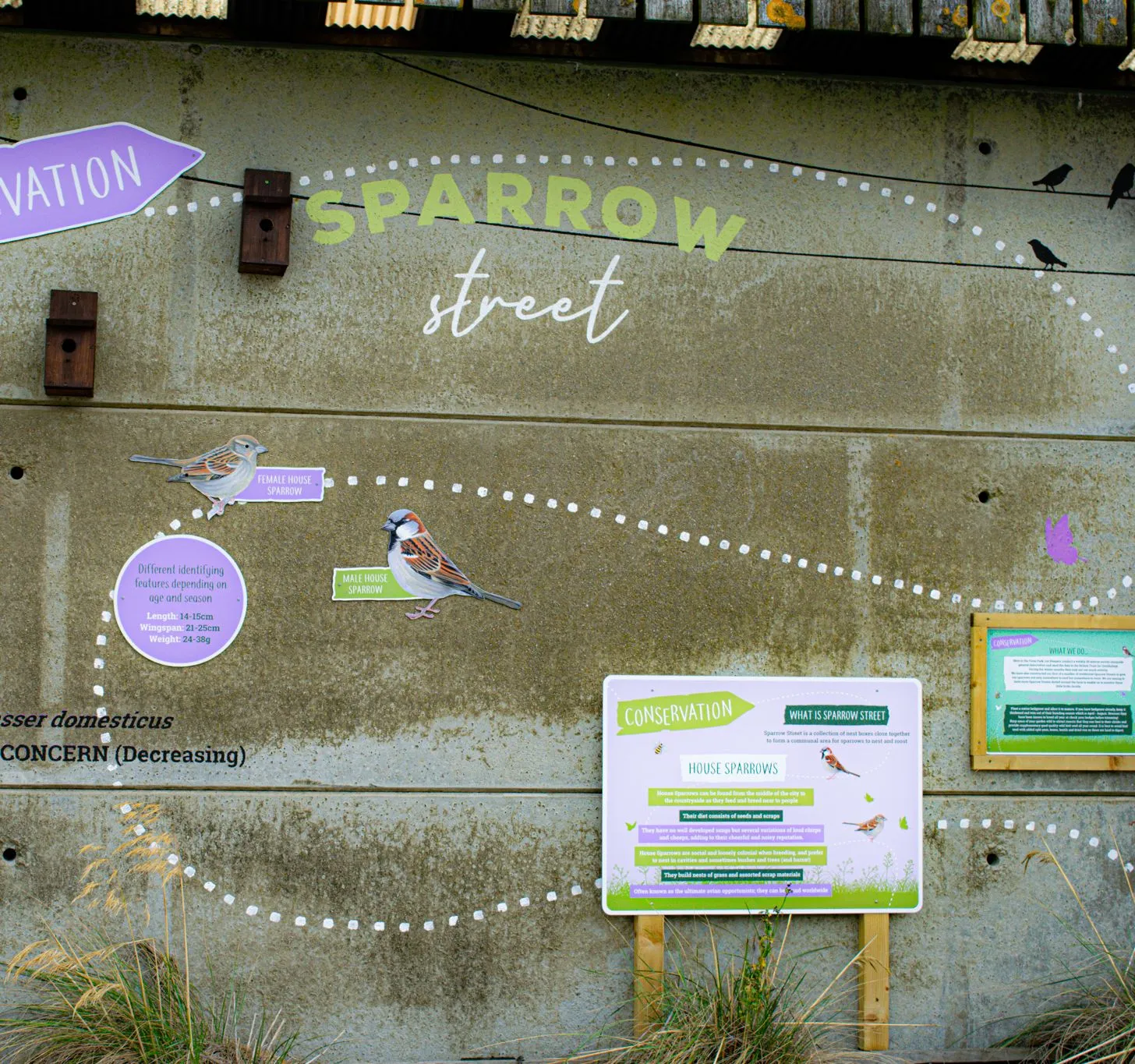 Conservation information board titled 
