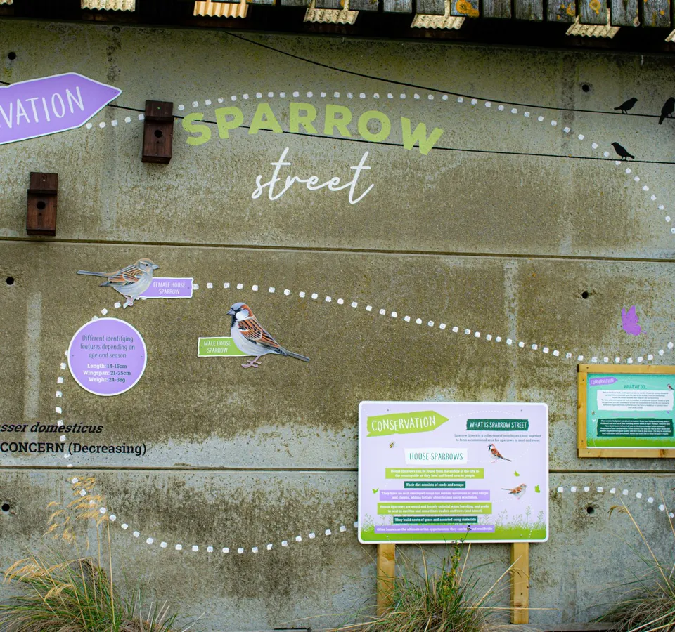 Conservation information board titled 