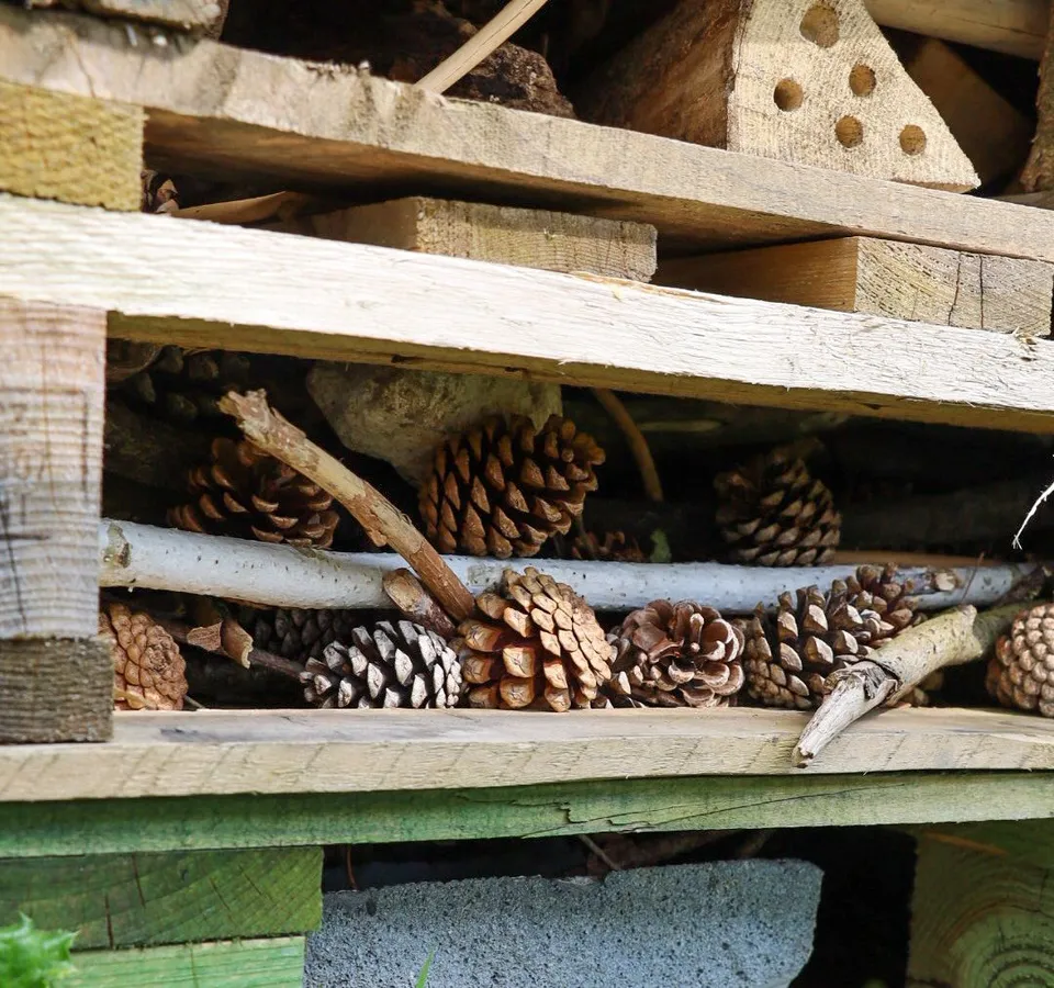 Close-up of a bug hotel made from wooden pallets filled with pine cones, sticks and a concrete block