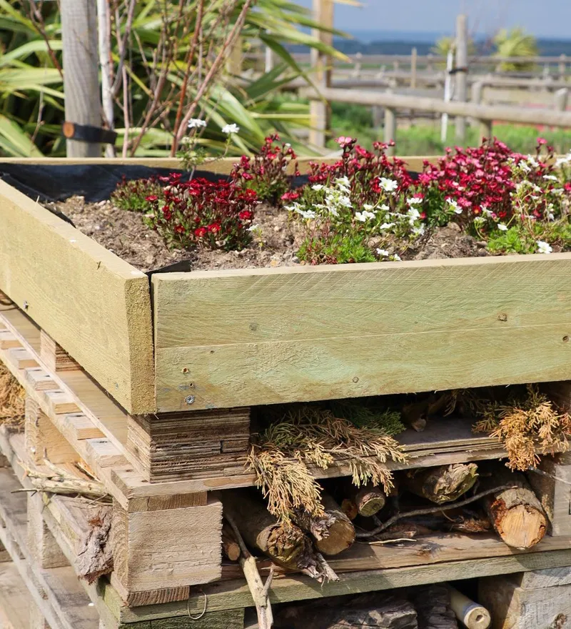 Wooden bug hotel with a raised planter of red and white flowers on top