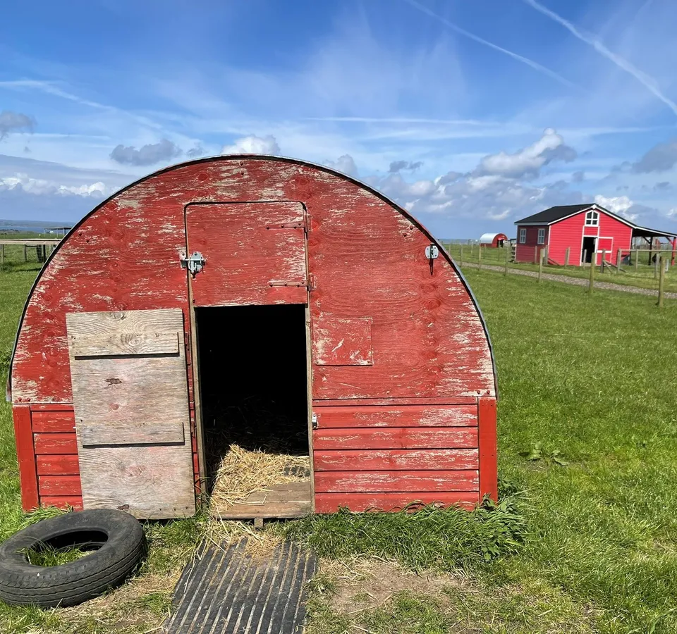 Weathered red arched animal shelter with open door on a grassy field under a blue sky
