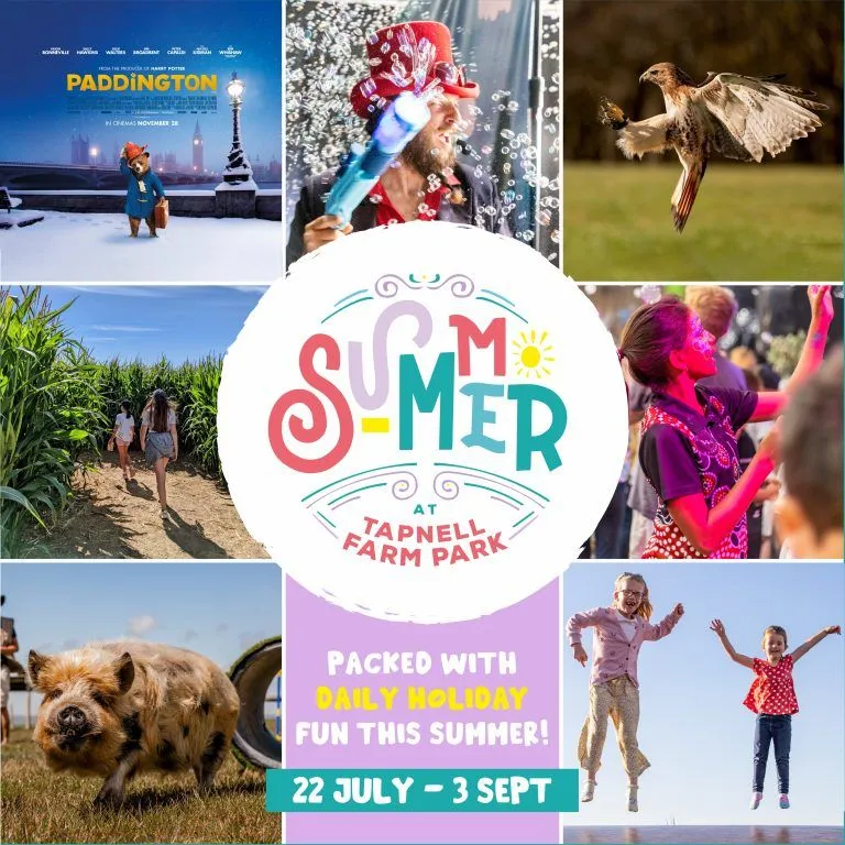 Summer-at-Tapnell-Farm-Park_Social-Square_2023-07-06-080756_ovlj