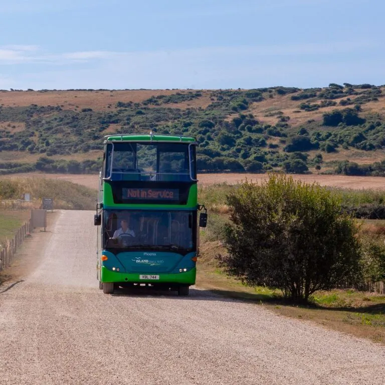 Green double-decker bus on a gravel driveway in a rural landscape