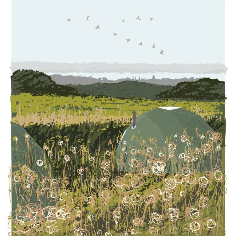 Illustration of two green camping domes among wildflowers with a distant view towards the Solent and birds overhead