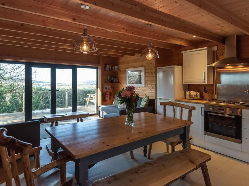 Cozy wooden cabin kitchen and dining area with rustic furniture, large windows, and countryside view