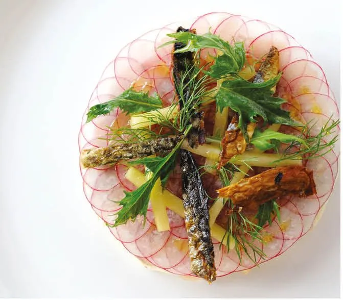 Elegant plated fish dish with thinly sliced radish, herbs and crispy garnish on a white plate