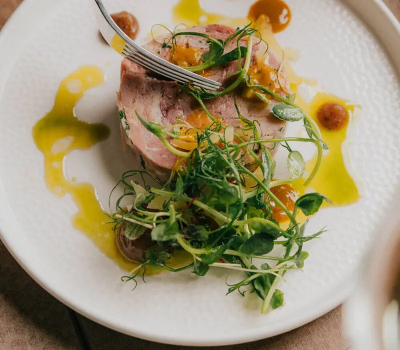 Hand holding a fork over a plated meat terrine with microgreens and golden sauce on a white plate.