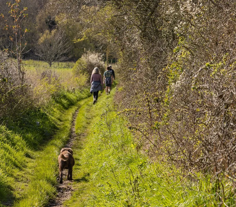 A dog follows two walkers along a narrow grassy path on the Tapnell Trail, Isle of Wight.