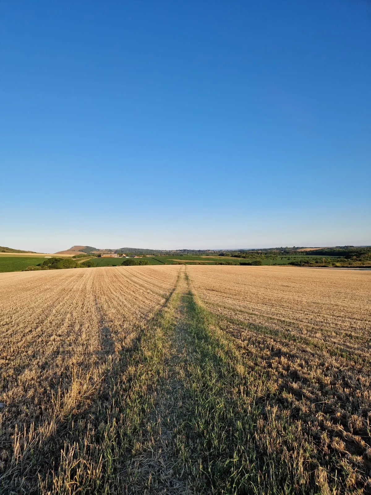 Early morning view from Tapnell Trail across a harvested field towards Tennyson Down under a clear blue sky.