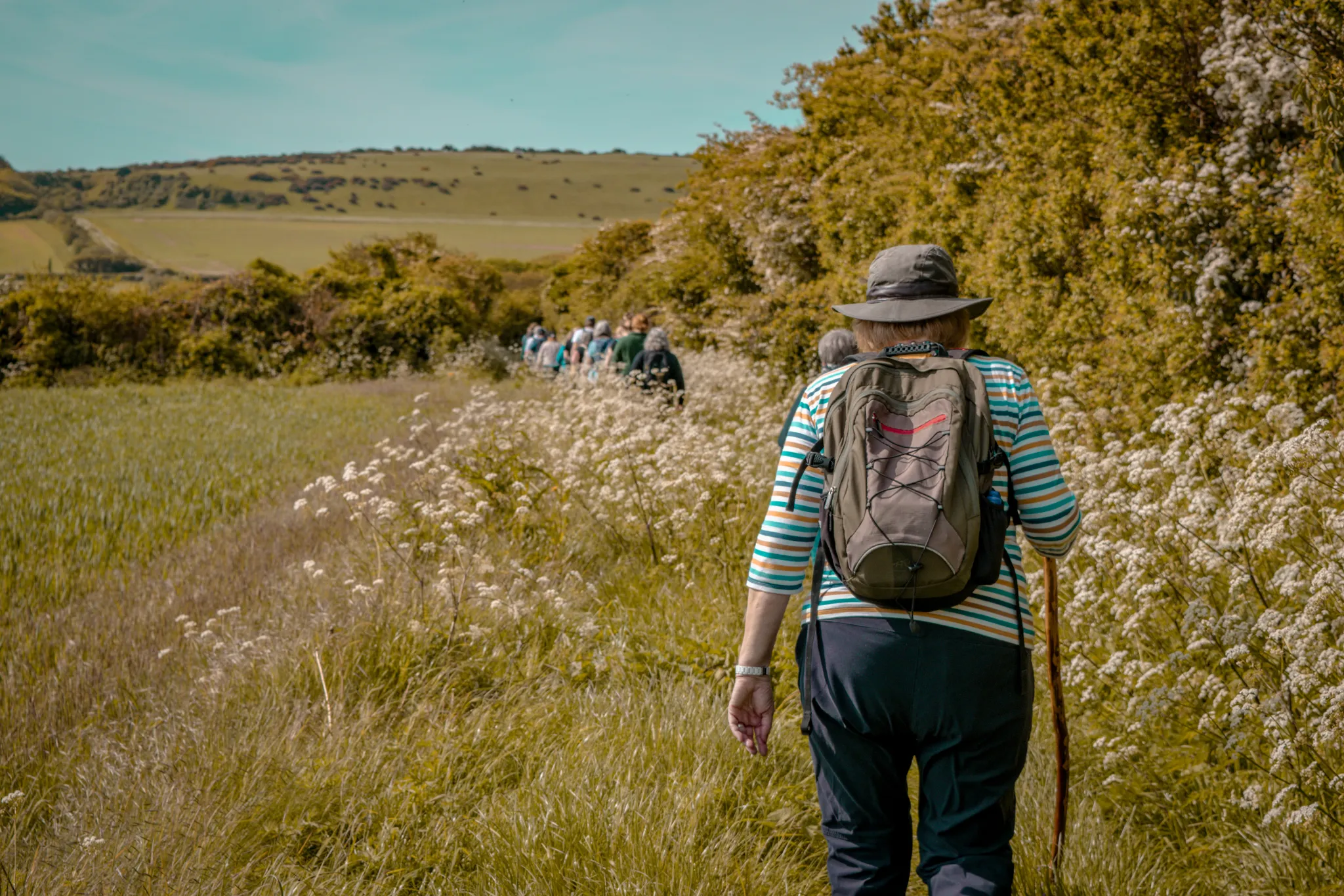 Walkers follow a countryside path bordered by wildflowers and hedgerows on the Tapnell Trail.