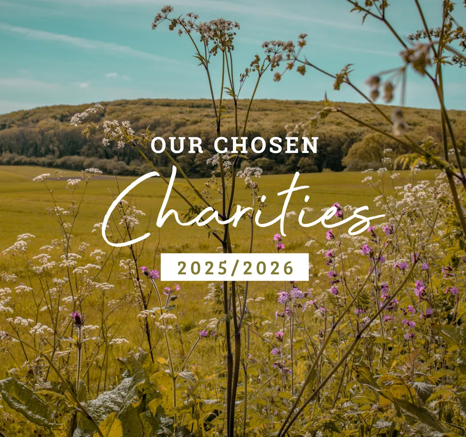 Wildflower meadow at Tapnell Farm with text reading 'Our Chosen Charities 2025/2026'