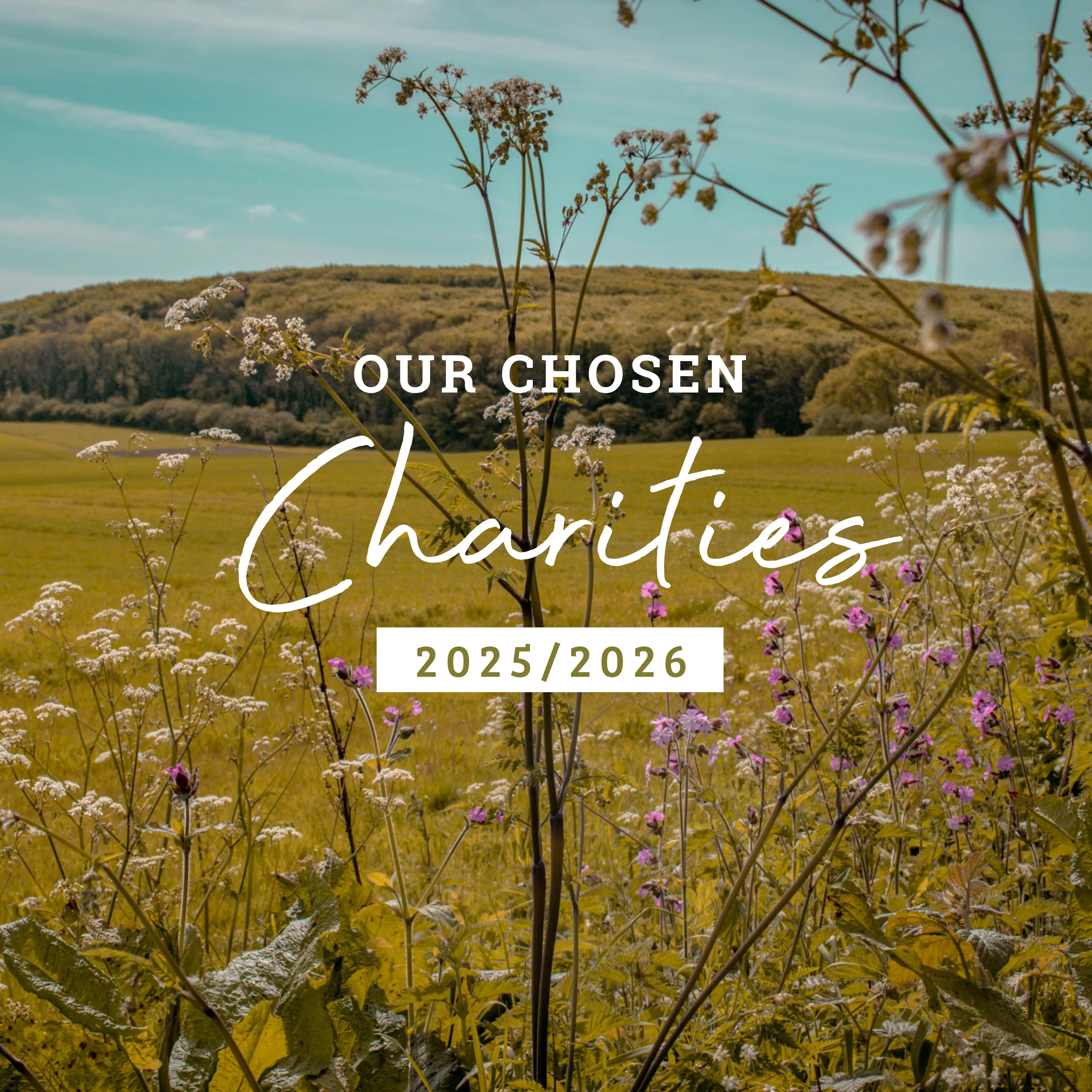 Wildflower meadow at Tapnell Farm with text reading 'Our Chosen Charities 2025/2026'