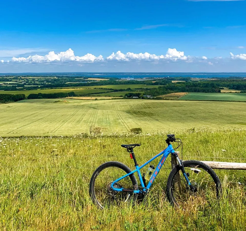 Blue mountain bike beside a fence overlooking rolling countryside and coast under a bright blue sky
