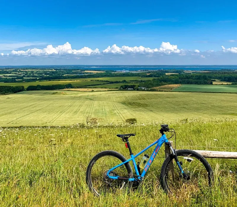 Blue mountain bike beside a fence overlooking rolling countryside and coast under a bright blue sky