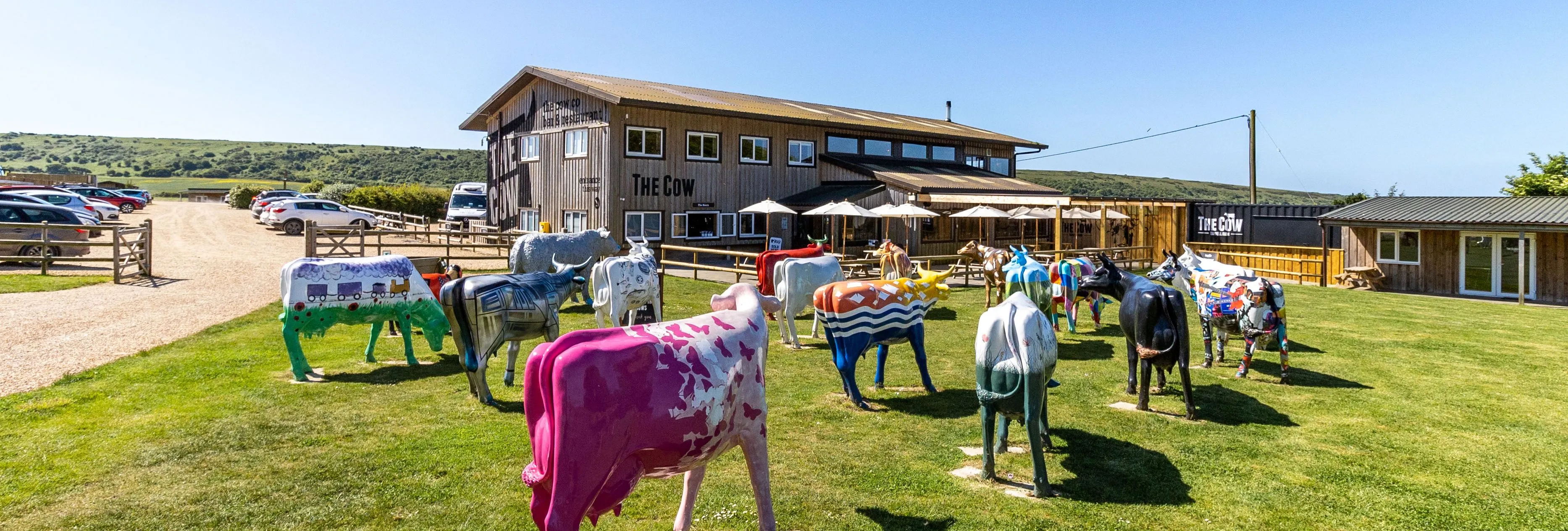 Colourful cow sculptures on the lawn outside The Cow at Tapnell Farm, with outdoor dining and countryside views.