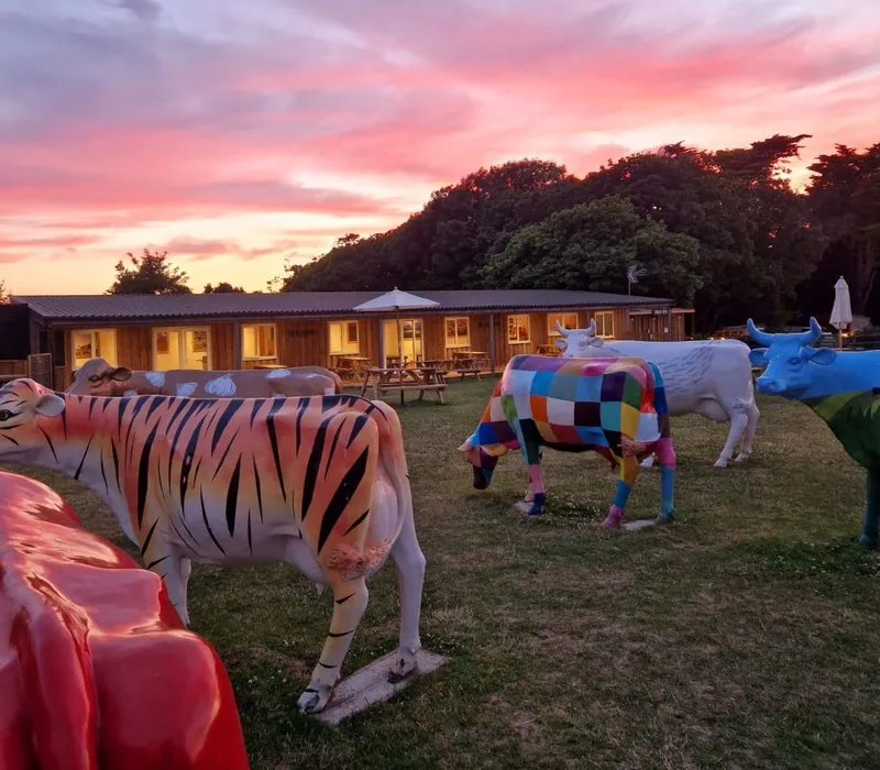 Colourfully painted cow sculptures on a grassy lawn at sunset beside a wooden lodge building.