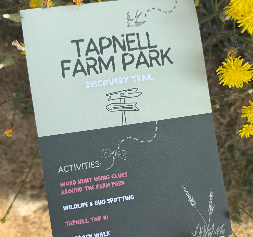 Discovery Trail