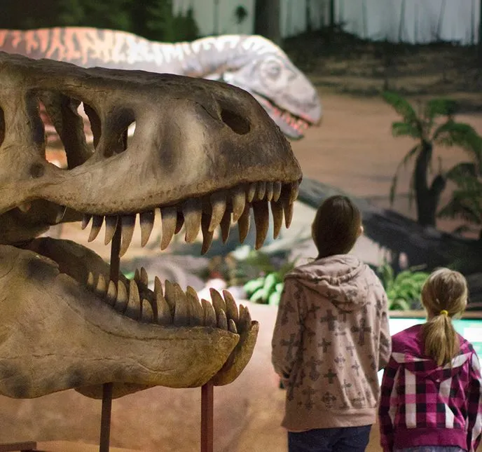 Dino-isle-gallery-image