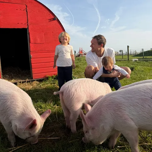 Adult and two children with pigs beside a bright red pig shelter in a grassy farm field.