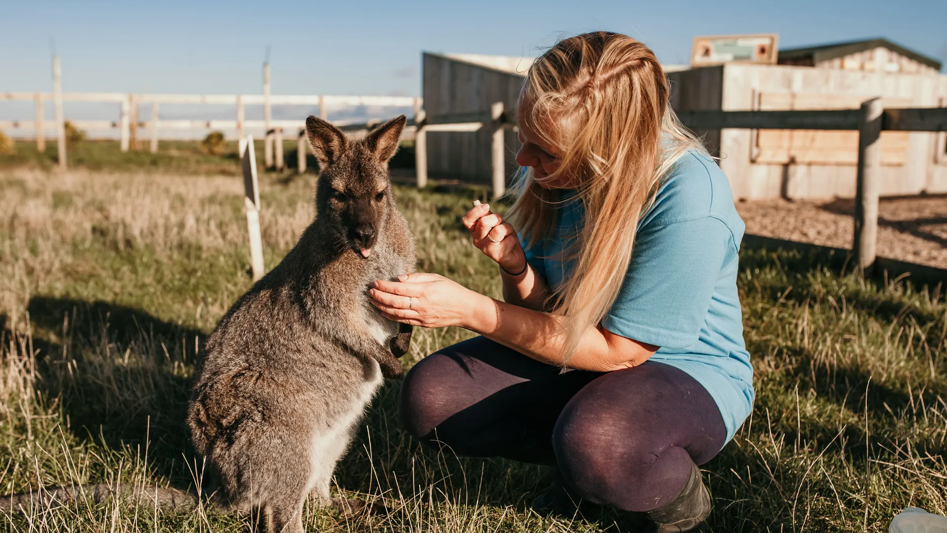 Woman crouching beside a kangaroo in a grassy outdoor enclosure