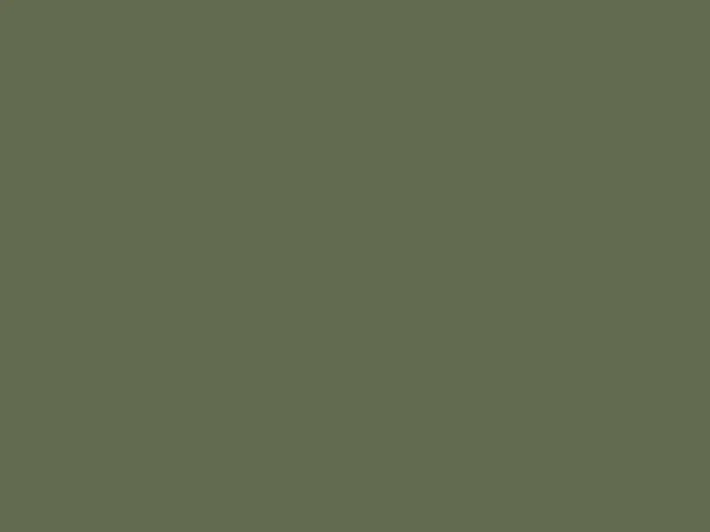 Solid olive-green background