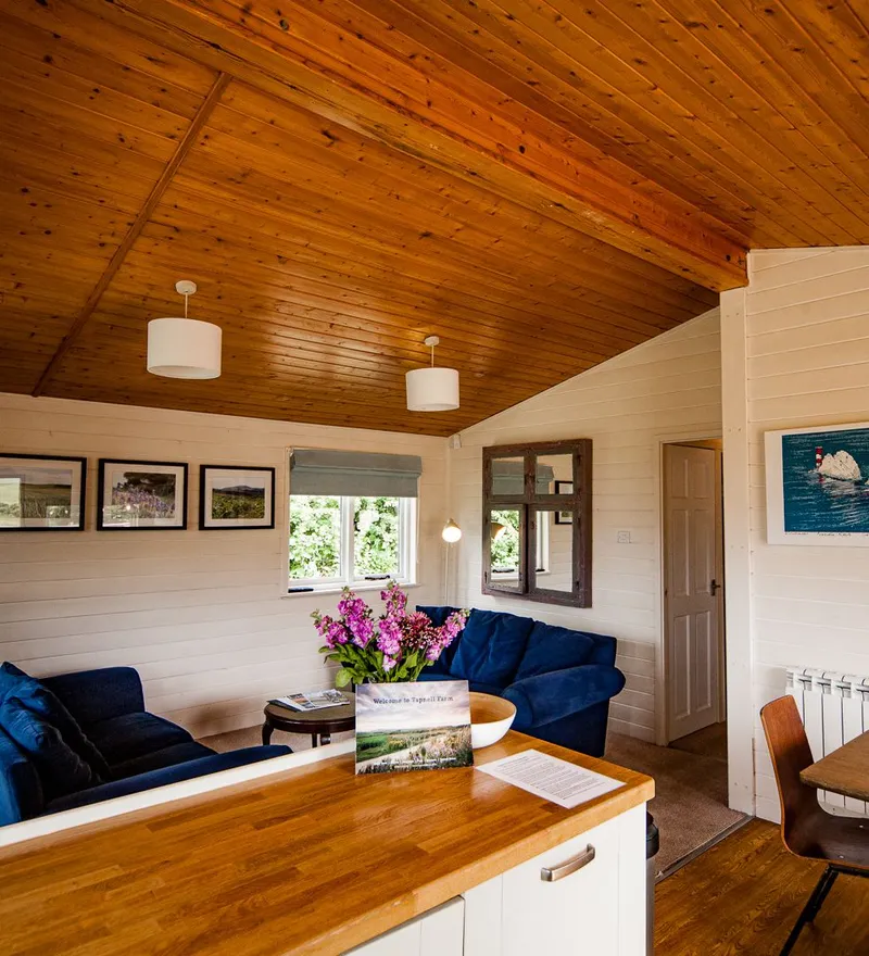 Open-plan cabin living area with wooden ceiling, blue sofas, dining table and kitchen counter