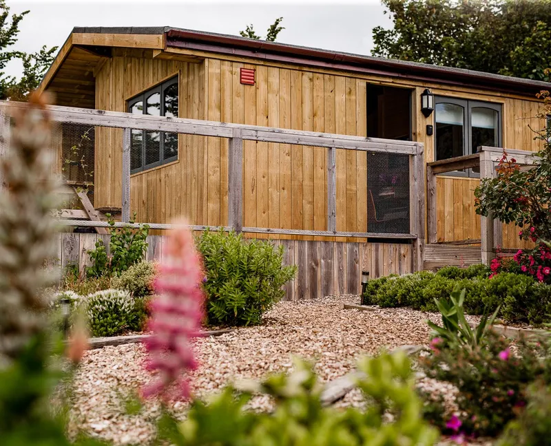Wooden lodge with a raised deck and mesh balustrade, surrounded by garden plants and flowers