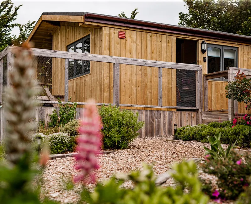 Wooden lodge with a raised deck and mesh balustrade, surrounded by garden plants and flowers