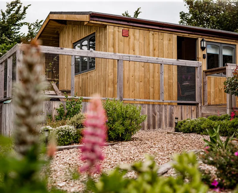 Wooden lodge with a raised deck and mesh balustrade, surrounded by garden plants and flowers