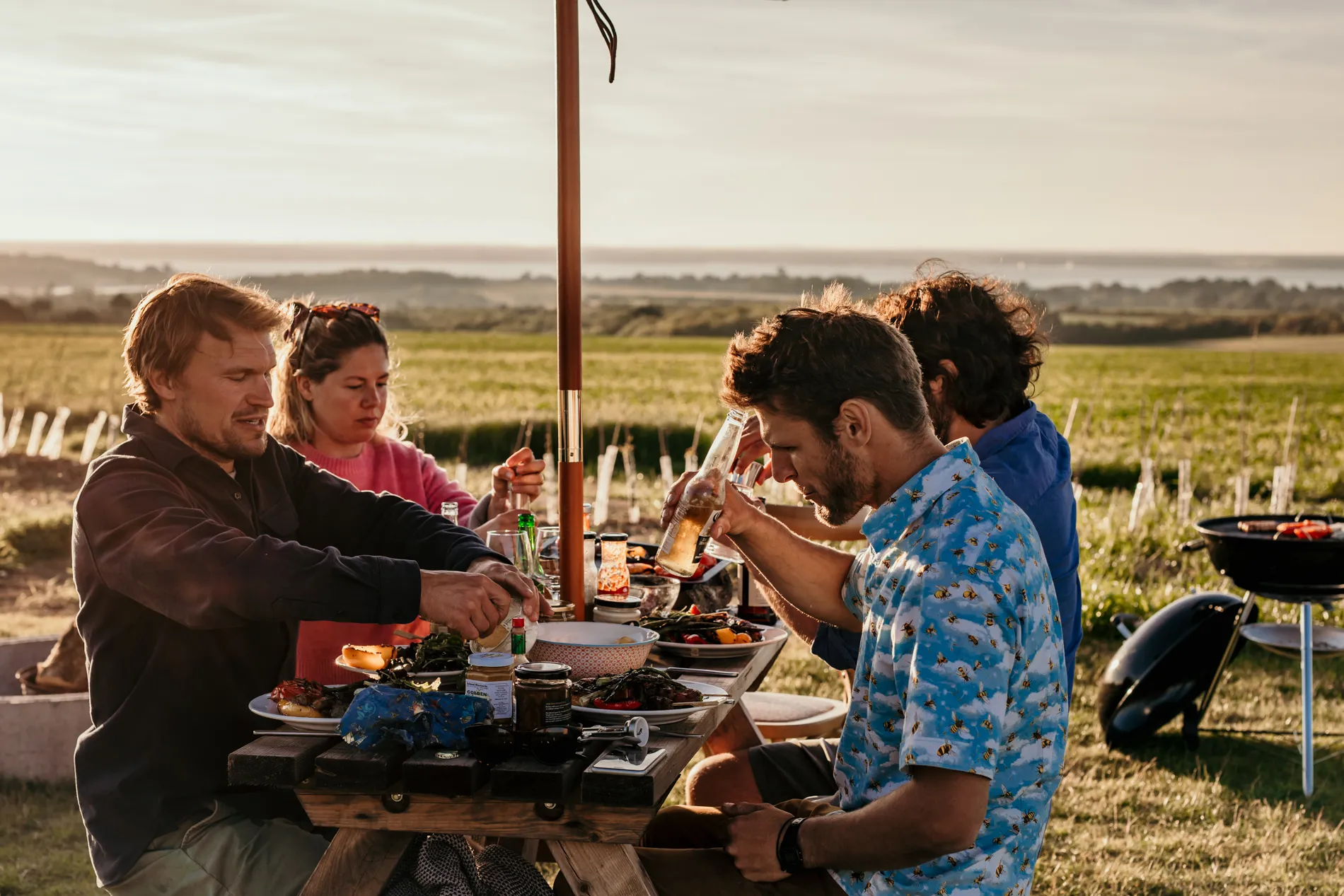 Group of friends sharing food and drinks at a picnic table in a sunlit field, with countryside and sea in the distance.