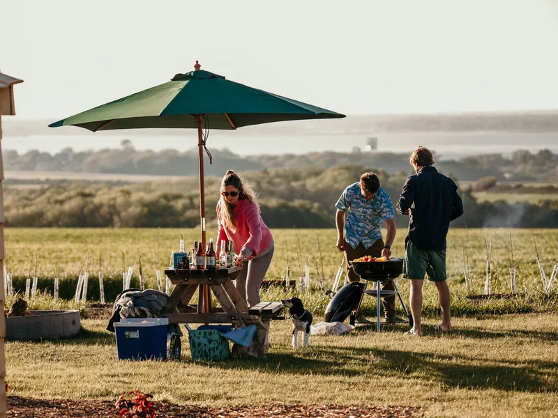 People preparing a barbecue beside a picnic table under a green parasol on a grassy hillside