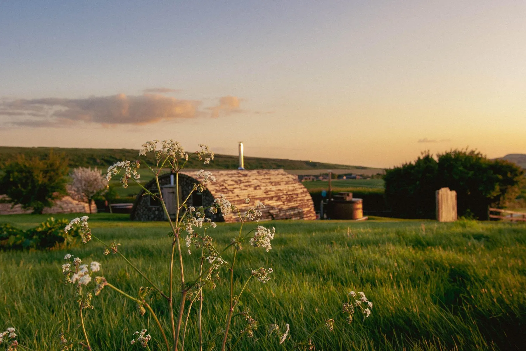 Wooden pod cabin in a grassy field at sunset with wildflowers in the foreground