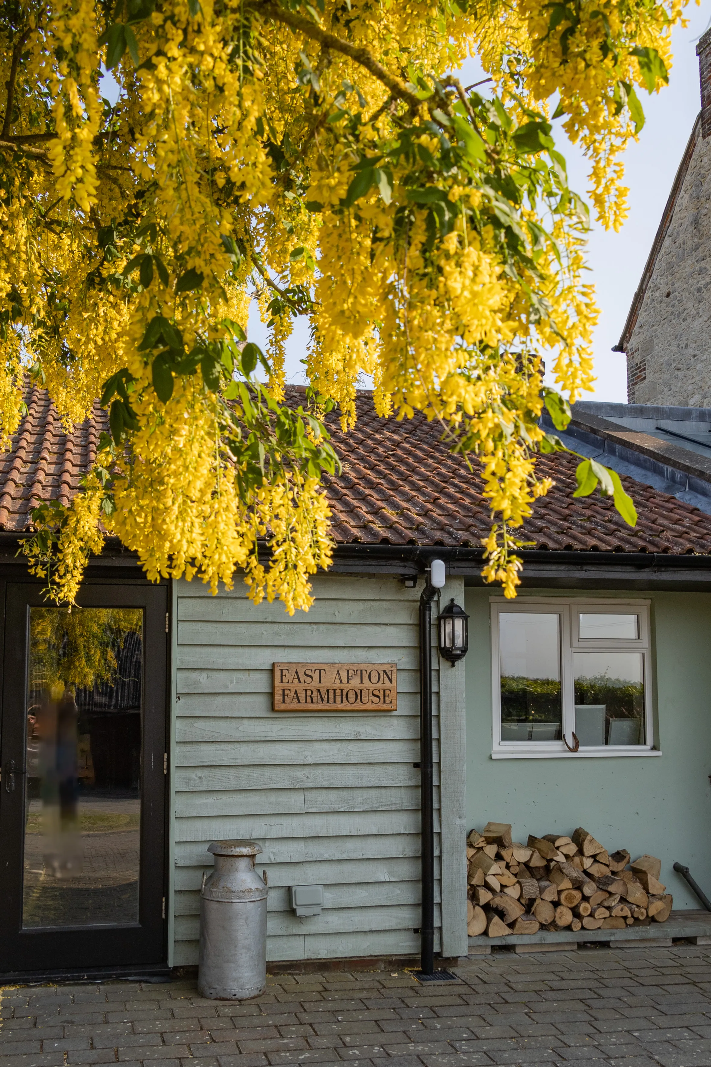 Yellow blossom hanging over the entrance of East Afton Farmhouse, with a tiled roof, wooden sign, and stacked logs by a window.