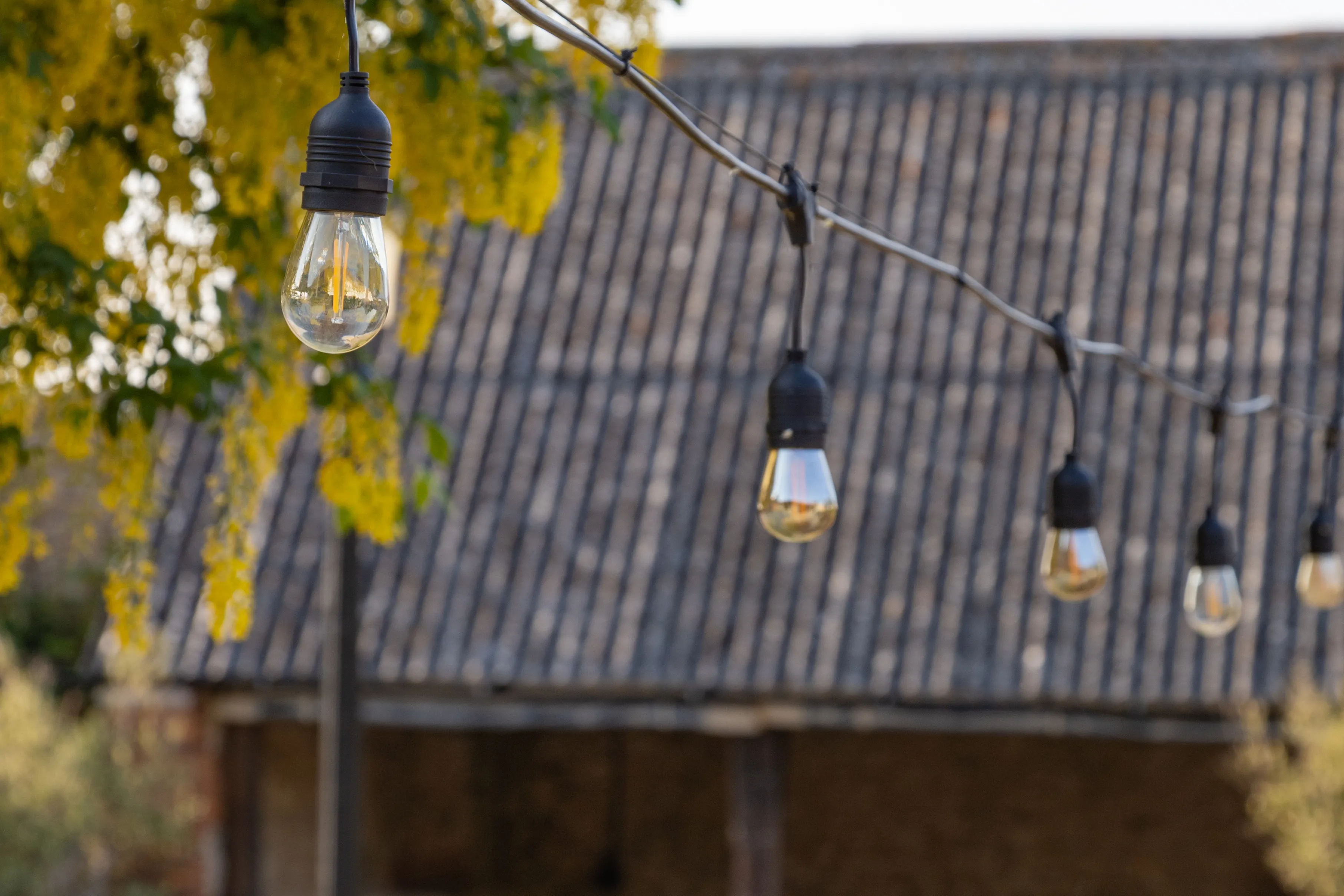 String of hanging festoon lights in front of a tiled farmhouse roof with yellow blossoms
