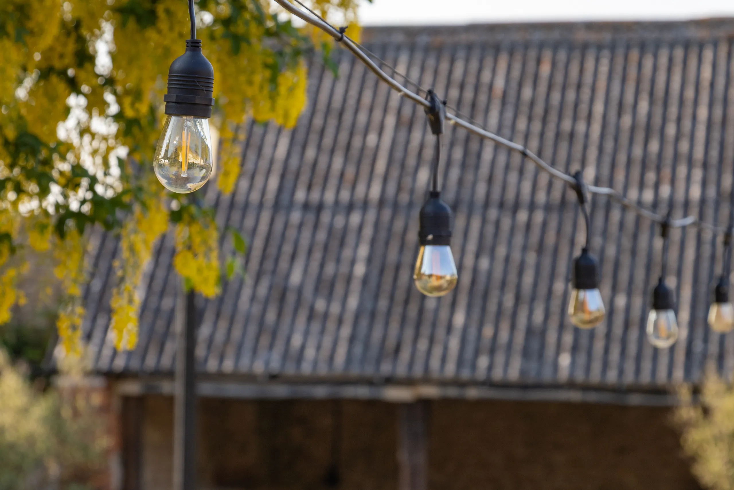 String of hanging festoon lights in front of a tiled farmhouse roof with yellow blossoms